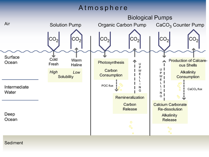 Figure 7.10