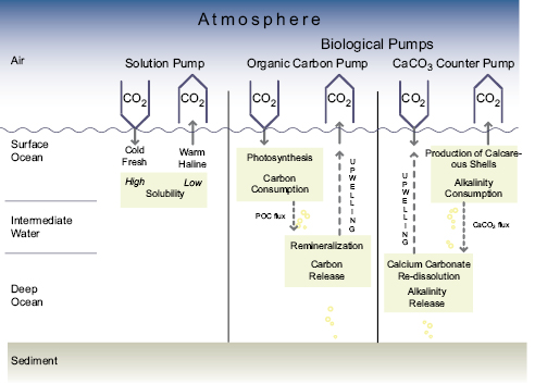Figure 7.10