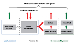 Figure 9.3